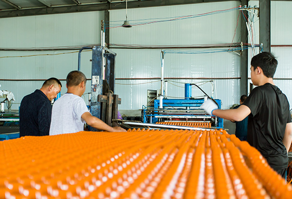 筑鵬企業風采展示（三）